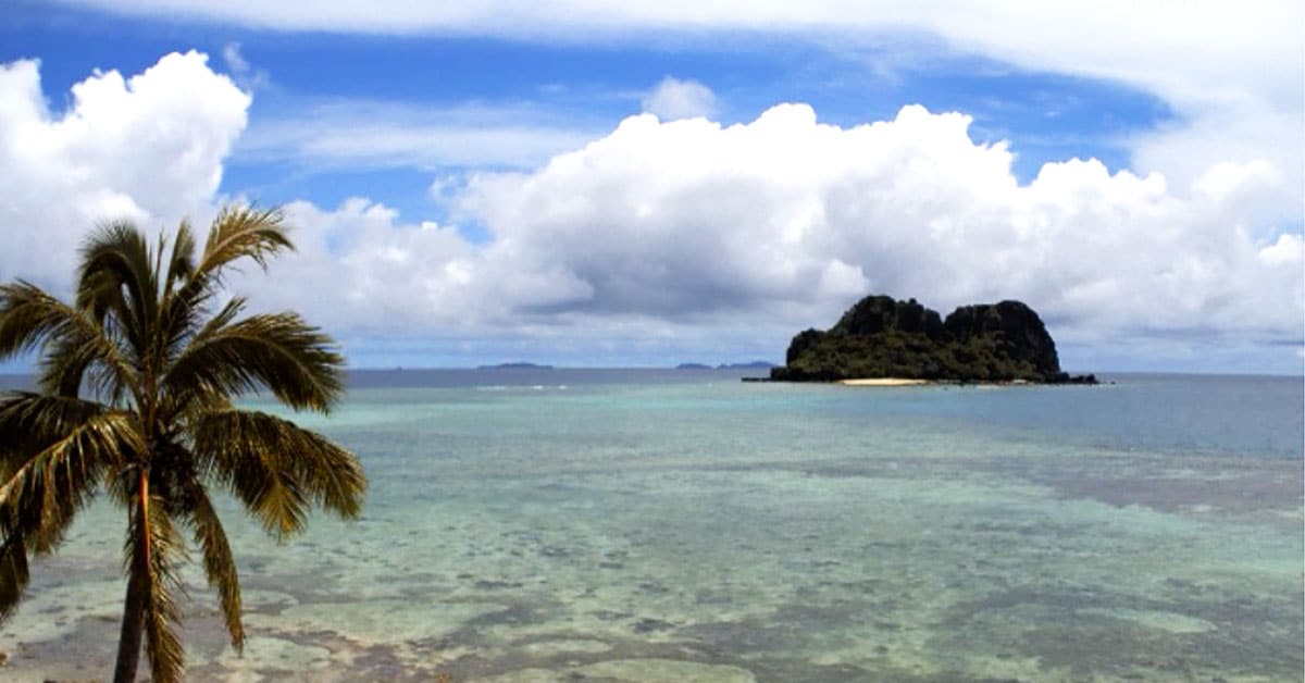 VOMO Fiji official webcam artwork